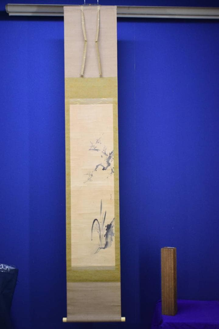 真作/狩野常信/梅花水仙図/布袋屋掛軸HH-912 - メルカリ