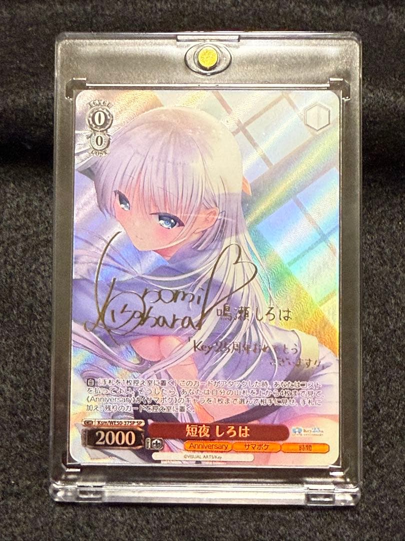 【マグネットローダー付き】短夜　しろは　sp SOFT SPOT SOLAR CIRCULAR Sサイズ / H18.5cm ｜ROSENDAHL – PIANO ISOLA