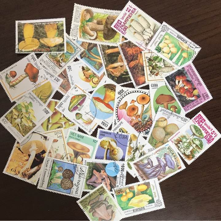 きのこ 切手 ② 秋のグリーティング 84円郵便切手のデータ｜公益財団法人日本郵趣協会