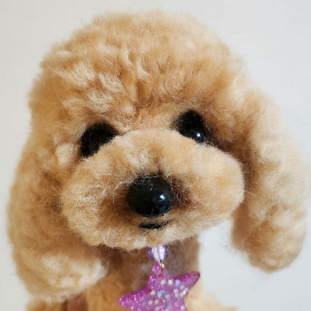 トイプードル❤️羊毛フェルト❤️　　　　　　　　　　　　　　　お迎え決まりました 3f680155e3e11ff026763e4be3a03c