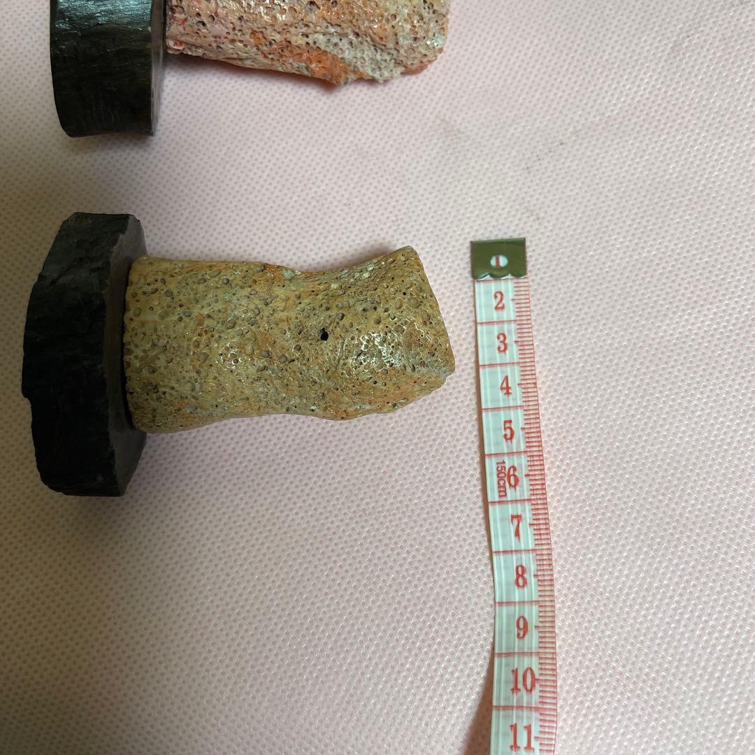 桃サンゴ？ 珊瑚風 置き物 2点まとめ売り - メルカリ