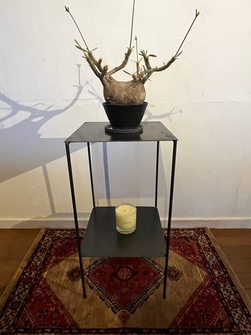 アイアン台　シンプル　無骨　植物棚　ディスプレイ棚 DIYアイアンシェフル（鉄脚のみ）植物棚 塊根植物 観葉植物 フラワー