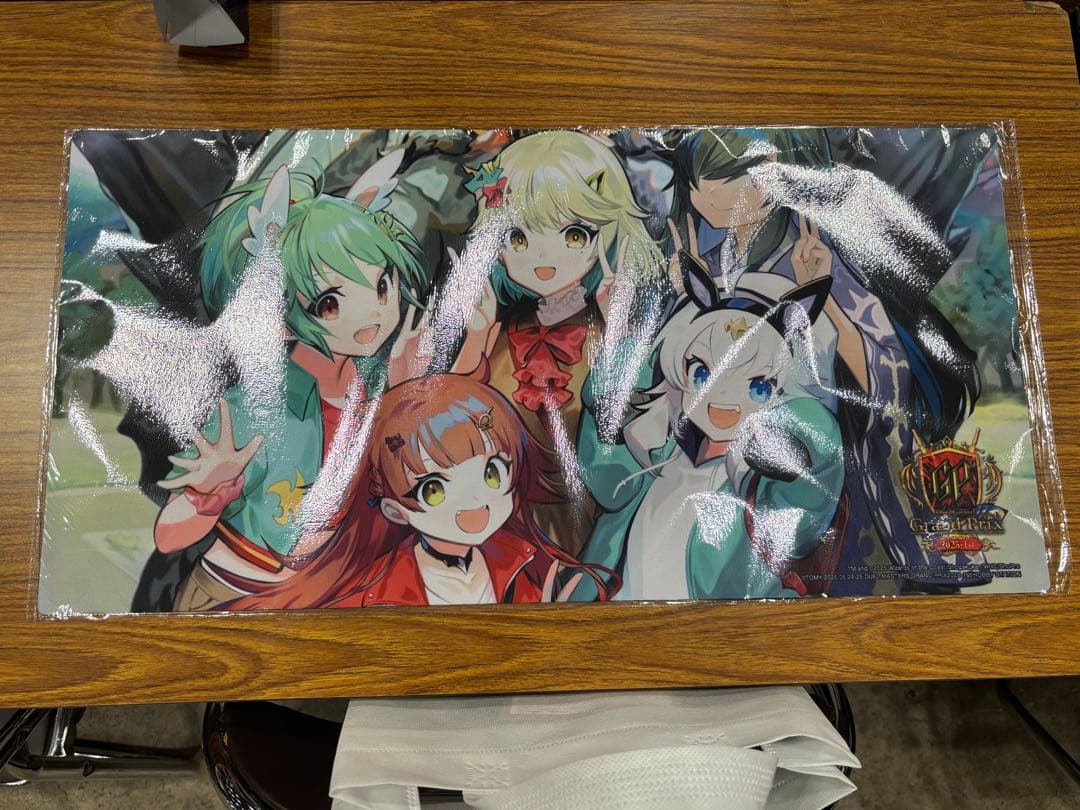 DMGP2025-1st プレイマット 星龍パーフェクト・アース ドラゴン娘