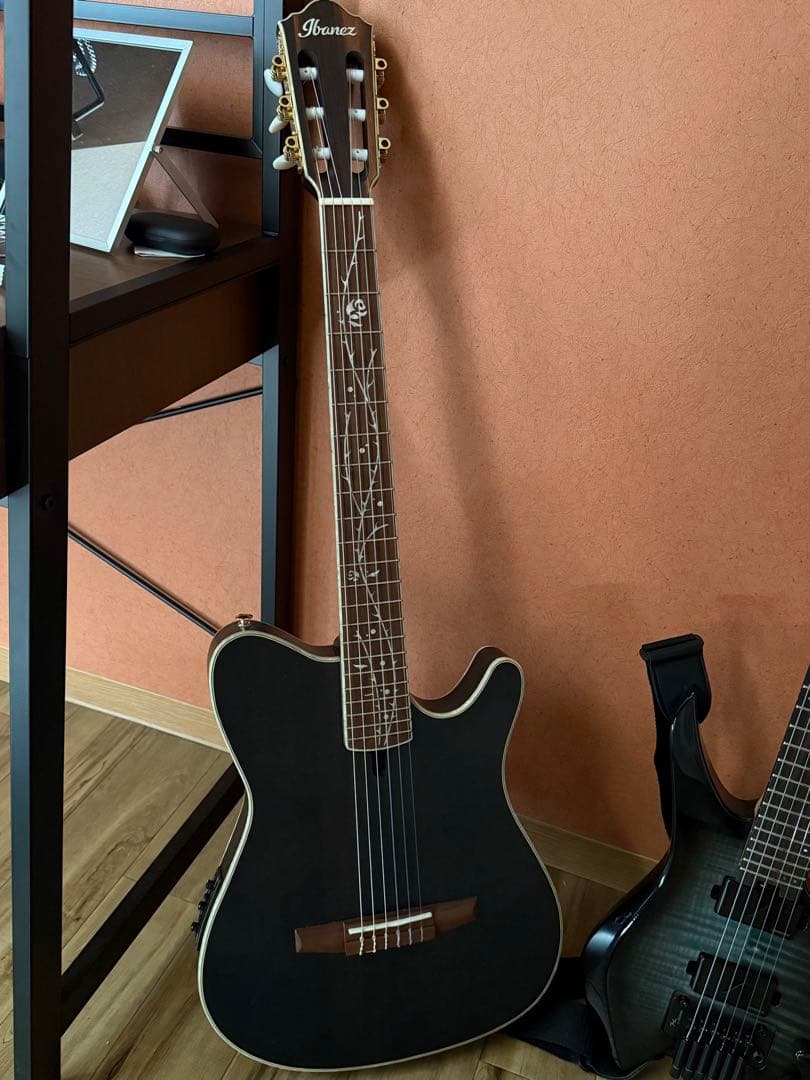 ギター Ibanez Tod10n TOD10N | TOD | ACOUSTIC GUITARS | PRODUCTS | Ibanez guitars