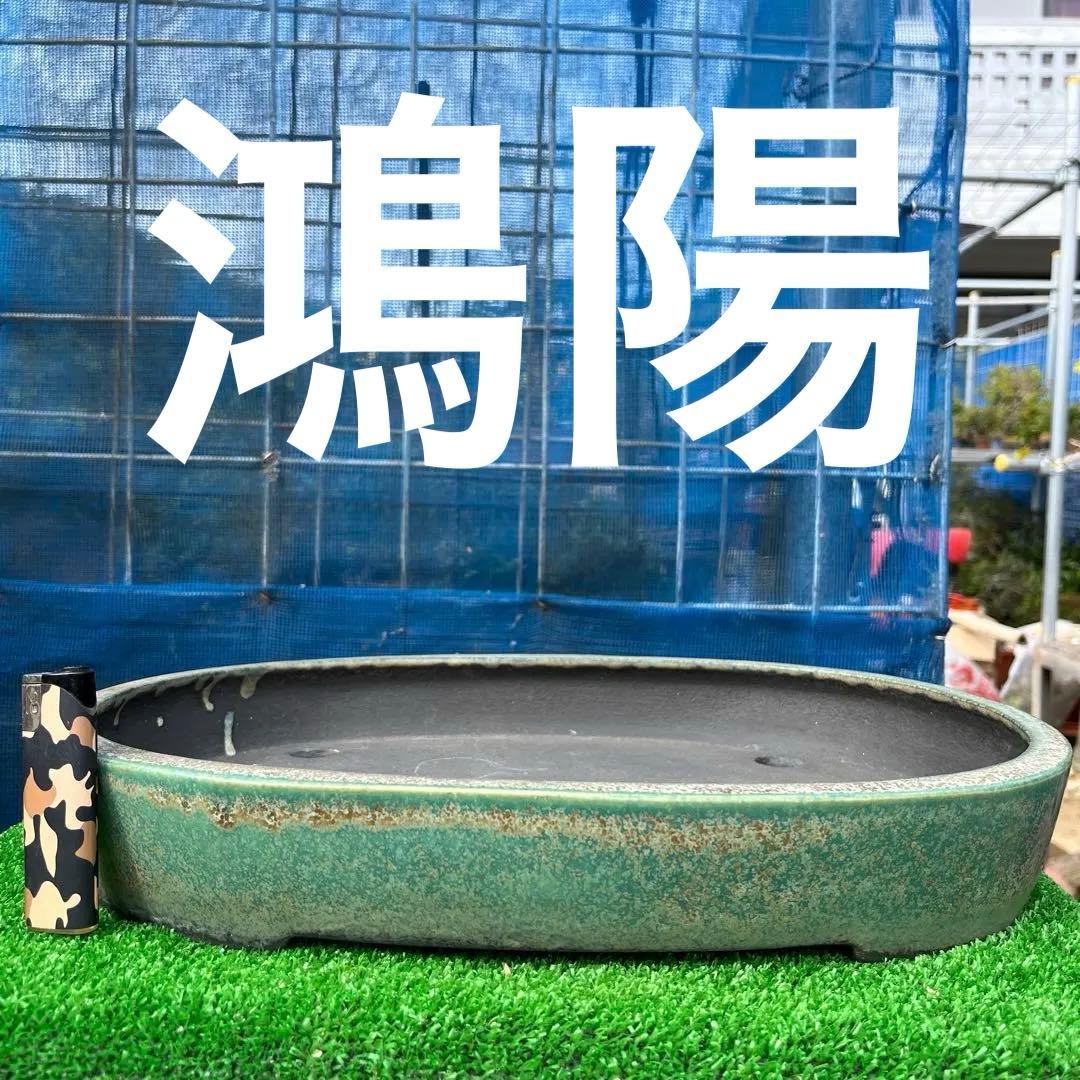 鴻陽楕円鉢 - メルカリ