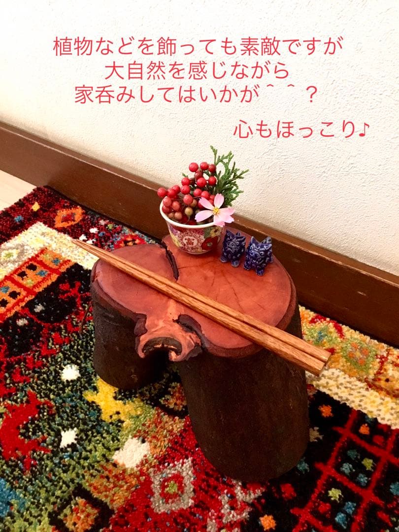 希少縁起木！天然木斛【年輪2つ！森と大自然の切り株飾り台