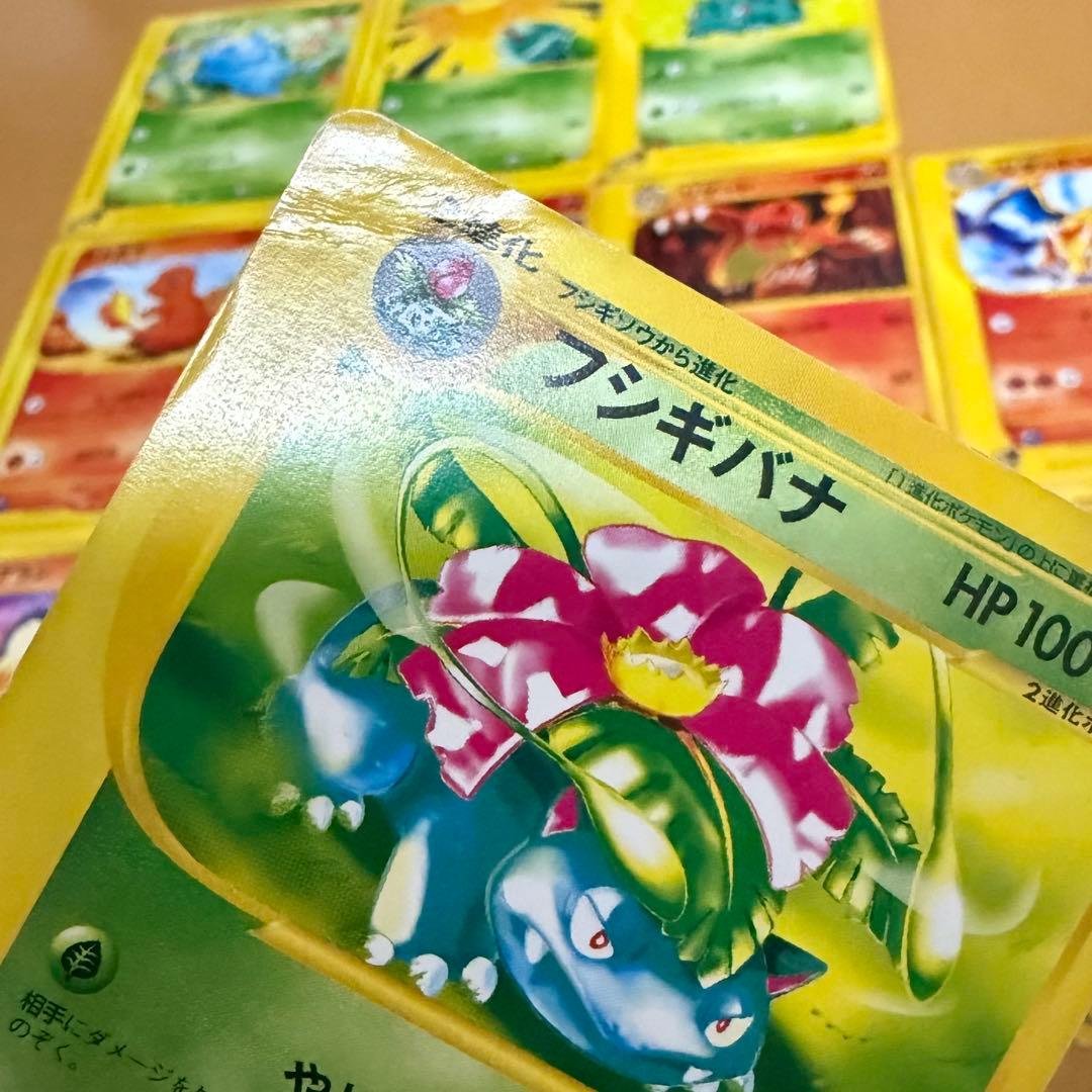 進化ライン】ポケモンカード eカード フシギバナ リザードン