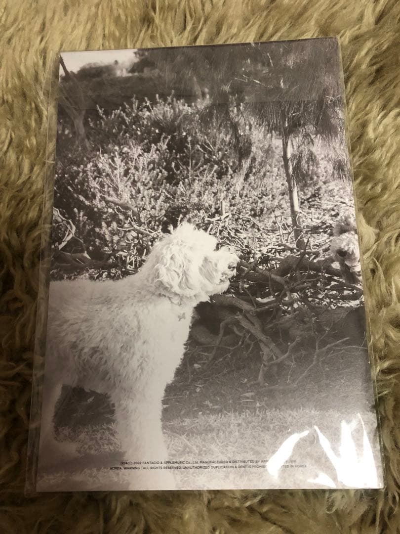 MAGAZINE ASTRO タンコン ムンビン サナ - メルカリ