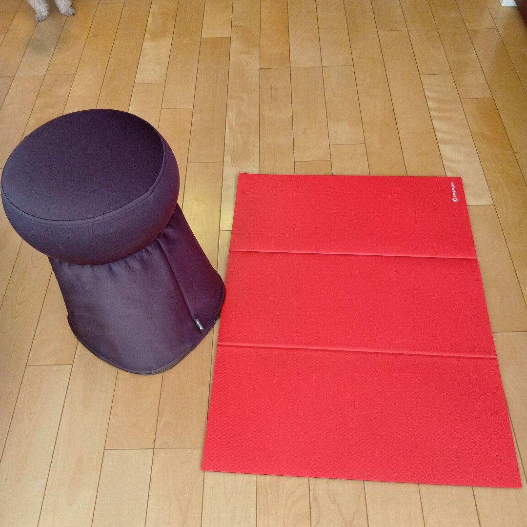 エクササイズマットとバランスシェイプ バランスクッション 体幹筋シェイプ エクササイズマット 骨盤底筋