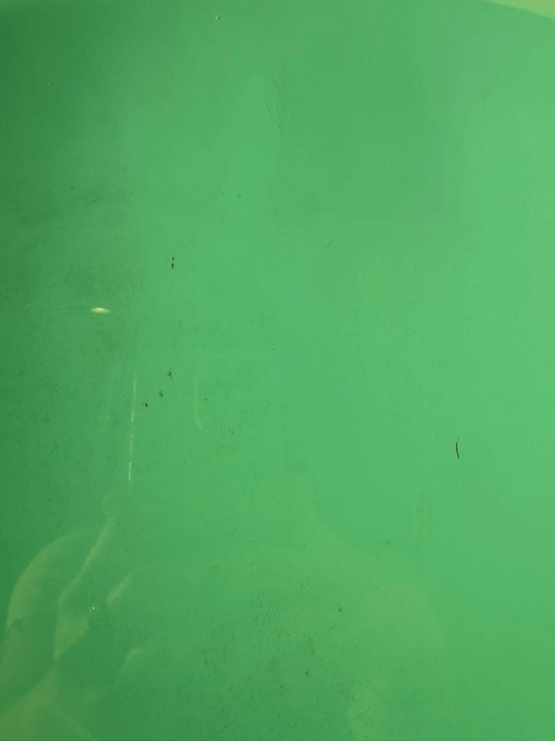 レア Karim Rashid バタフライチェア 水色 | 激安通販のイーサプライ