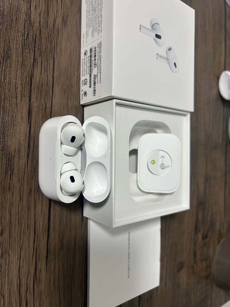 ワイバーンホバー2-80GN メタルコート:バイオレット ランチャー