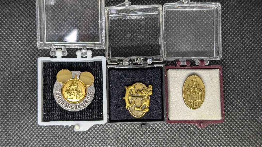 TDL 関係者 キャッスル・勤続1年10年 キャストアワード ピンバッジ セット トレーナーピンとサービス・アワードピン（勤続1年ピン）| キャステル