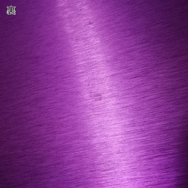 ニコラ・テスラ ポジティブエナジー・パープルプレート L 電磁波対策