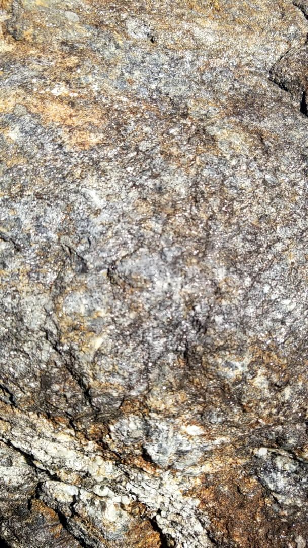 希少原石 大型 結晶片岩 シスト 庭石 ロックガーデン ガーデニング