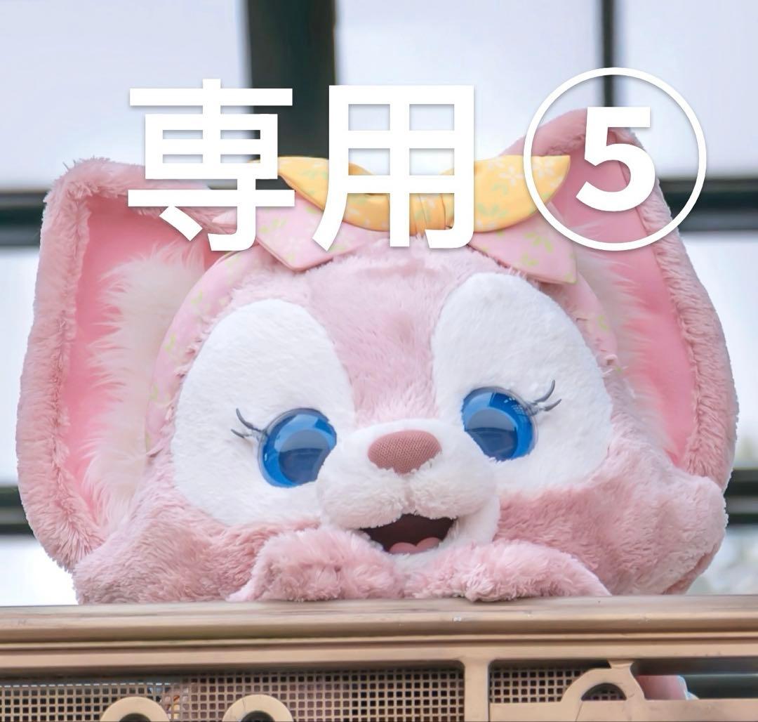 専用⑤ 即配】 (KT) 95mm ZX (ゼクロス) C-PL ケンコー KENKO 【ネコポス便