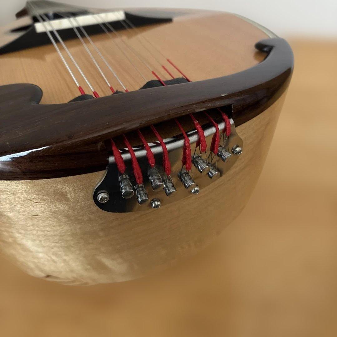 野口マンドリン『 SAマンドリンナポリ型』 2015年製 ケース付き - メルカリ