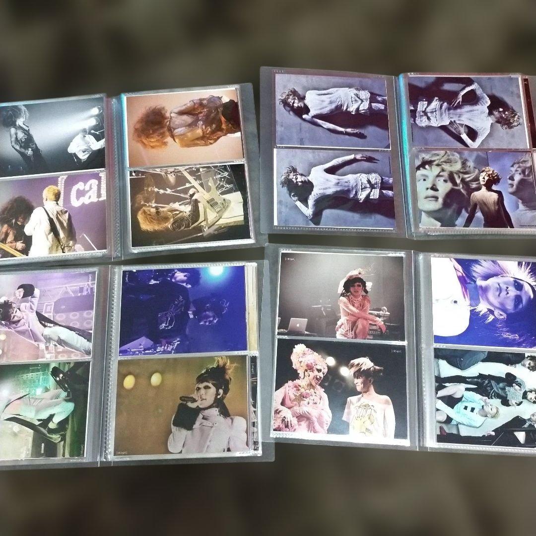 枚数追加♡355枚♡☆cali≠gari (ほぼ石井秀仁) ブロマイド等 cali≠gari 石井秀仁 ブロマイドセット - メルカリ