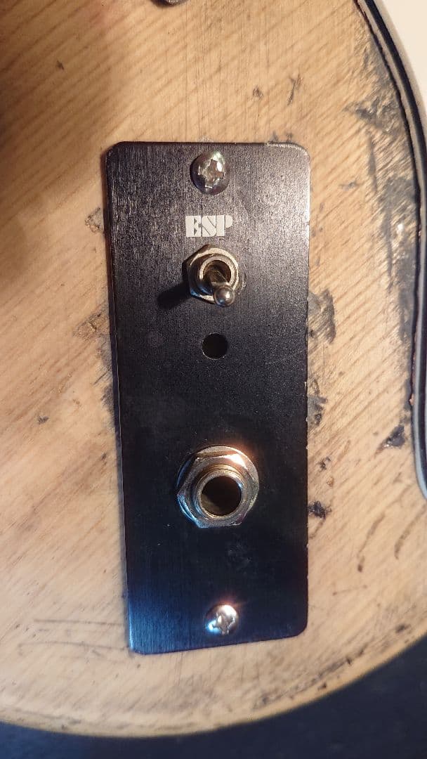 FERNANDES FST 石ロゴ ローズ - メルカリ