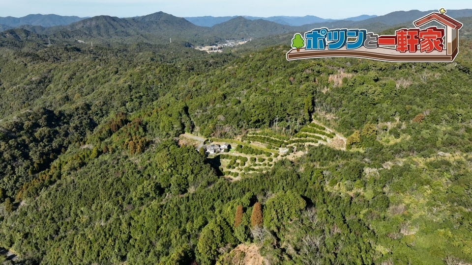 ポツンと一軒家 3月9日(日)放送分 先祖代々続く山奥のミカン畑！亡妻へ