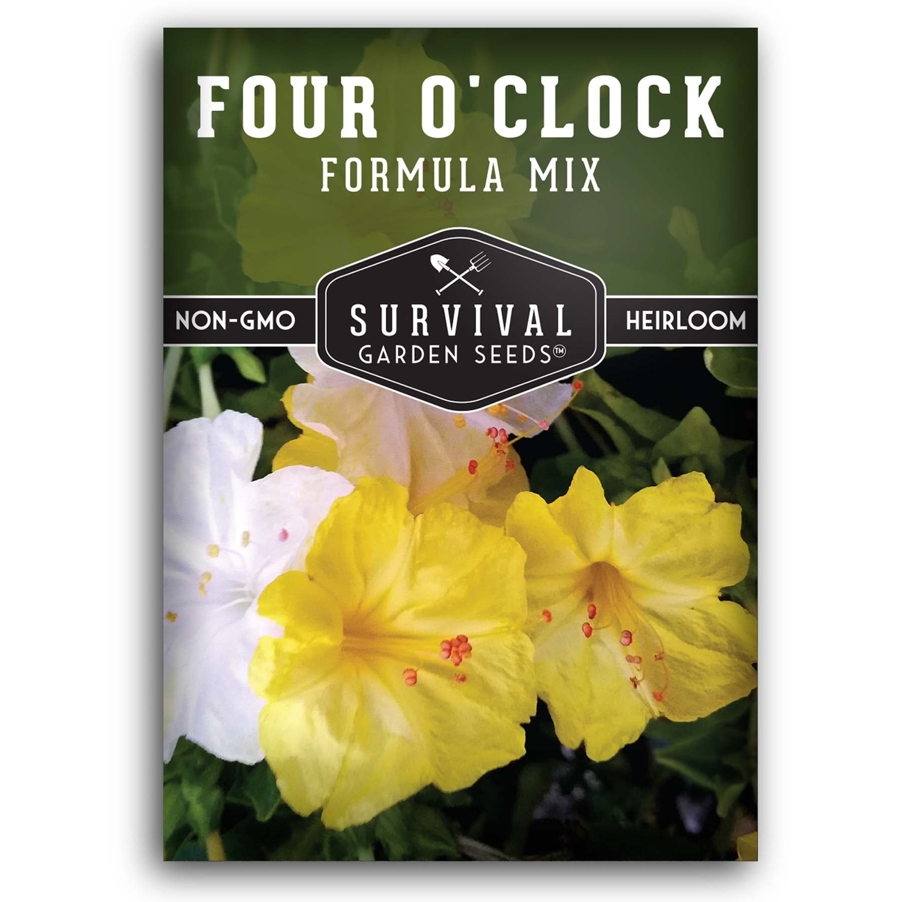 Four O'Clock Formula Mix – Flower Seeds – SurvivalGardenSeeds